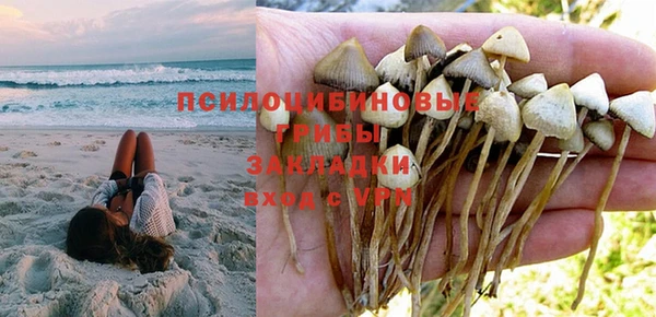 СК Арсеньев