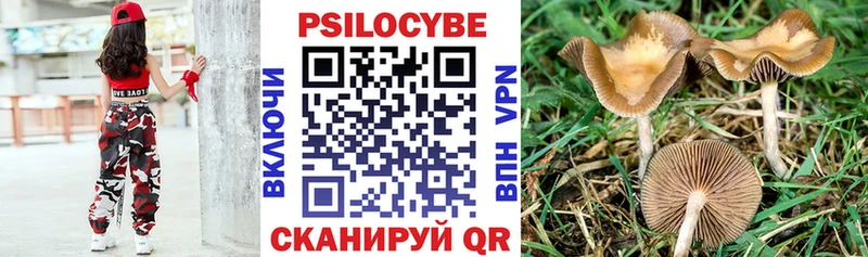 блэк спрут зеркало  Северо-Курильск  Псилоцибиновые грибы MAGIC MUSHROOMS 